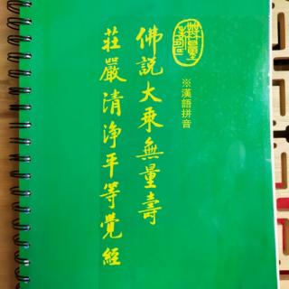 《佛说大乘无量寿庄严清静平等觉经》1—35品