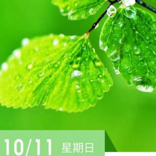 《中庸》10.11