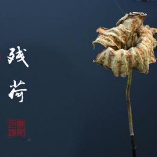 散文《残荷》.陈所巨