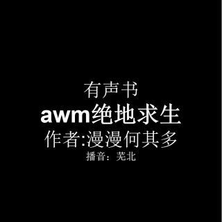 awm 绝地求生 第二十六章