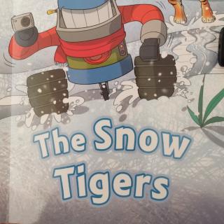The Snow Tigers