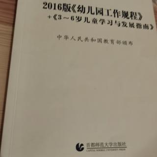 《3-6岁儿童学习与发展指南》