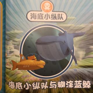 海底小纵队与糊涂蓝鲸🐳