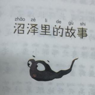 沼泽里的故事🐸🐟