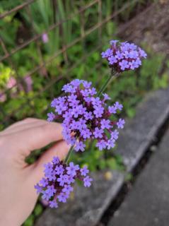 周囲に配慮する||空気を読む