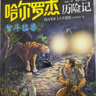 《哈尔罗杰历险记》（22）哈尔的懒熊