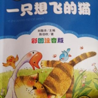 《一只想飞的猫》读后感