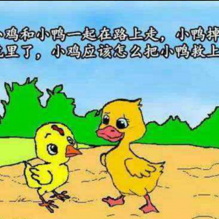 童乐幼儿园晚安🌙故事
《小公鸡和小鸭子》