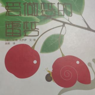 《爱做梦的雷梦》