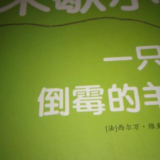 米歇尔是一只倒霉的羊