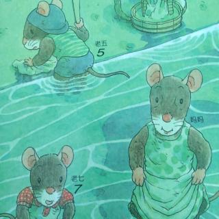 《14只老鼠🐭洗衣服》