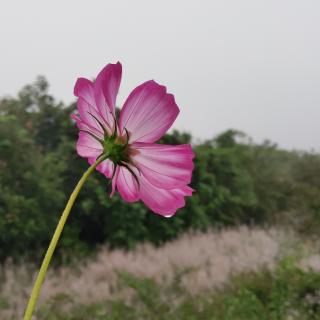 《立秋大雨》作者 周文潇