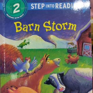 Day 234 - Barn Storm 1