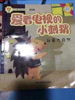 爱看电视的小刺猬