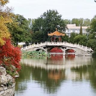 重阳节诗词三首  作者  翰墨百川