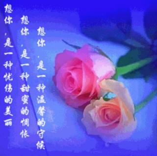 海南和敢怒敢言的玫瑰花对唱山歌01(鱼眉韵)