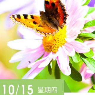 《中庸》10.15