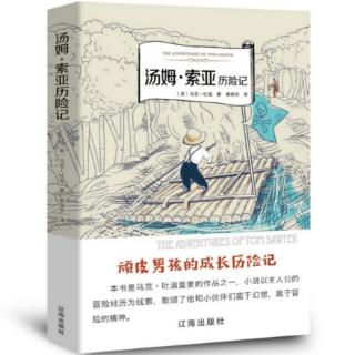 （10）《汤姆·索亚历险记》第六章（下）