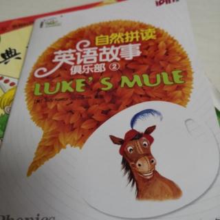 D667 luke's mule