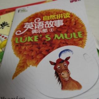 D670 Luke's mule自