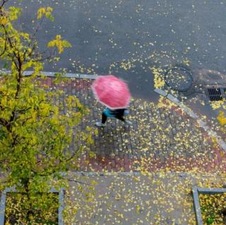 诵读散文《秋雨寒》