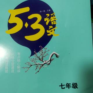 《五三》——《父爱陷阱》