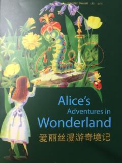 Alice's Adventure in wonderland 3