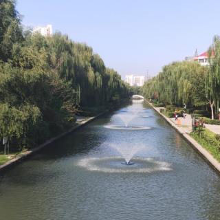 伤心雨泪花凄 作者 红竹 主播 一缕幽兰