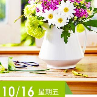 《羊皮卷第四卷》10.16