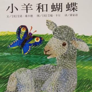 绘本《小羊和蝴蝶》