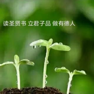 第1538天《一棵怕痒的树》