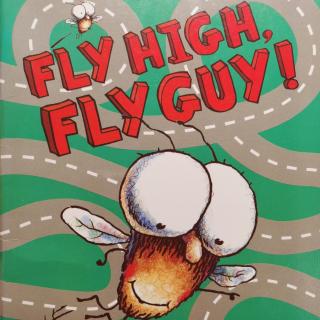 Fly high,fly guy!