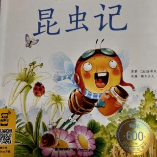 《昆虫记》178——199页