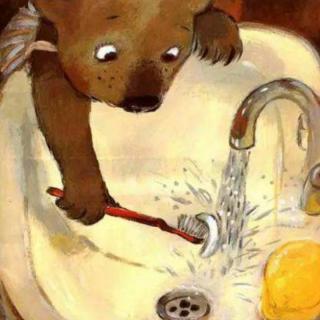 幼儿睡前故事《小熊不刷牙》