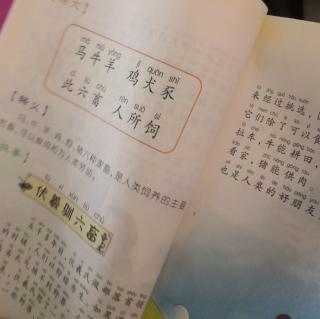 三字经《马牛羊鸡犬豕……伏羲氏训畜》