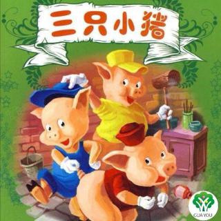瓜沥幼儿园本部大二班金嘉蕙：《三只小猪》