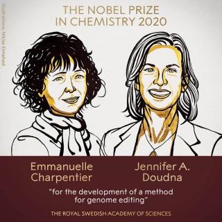 Two women earn Nobel Prize in chemistry