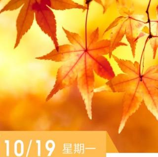 《羊皮卷第四卷》10.19