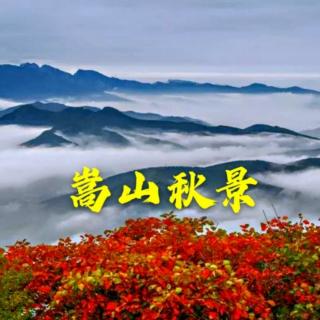 《秋深处，岁月静美》春暖花开