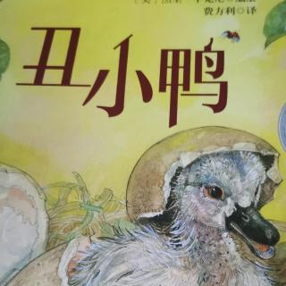 《丑小鸭》