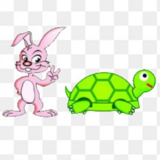 乌龟和兔子