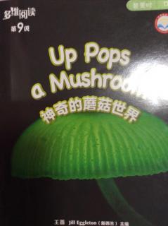 Up Pops a Mushroom