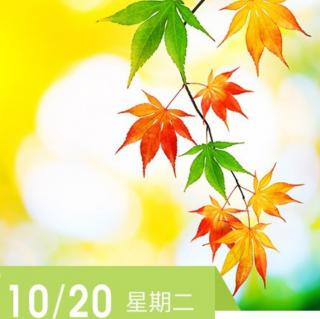 《中庸》10.20