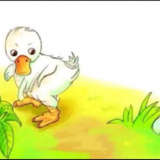 童乐幼儿园晚安🌙故事
《鸭妈妈找蛋》