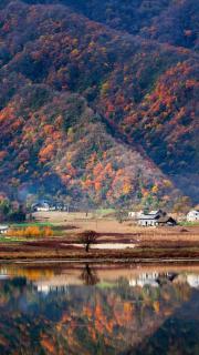 《那山那人那情》石永刚