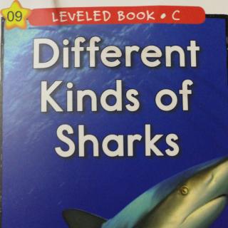 Alan 20201020 Different kinds of sharks C
