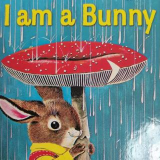 Picture Book: I am a bunny  我是一只小兔子