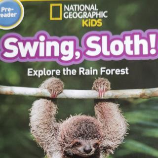 Swing sloth