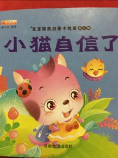 小猫自信了