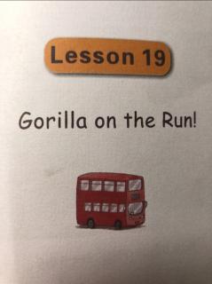 19.Gorilla on the Run！